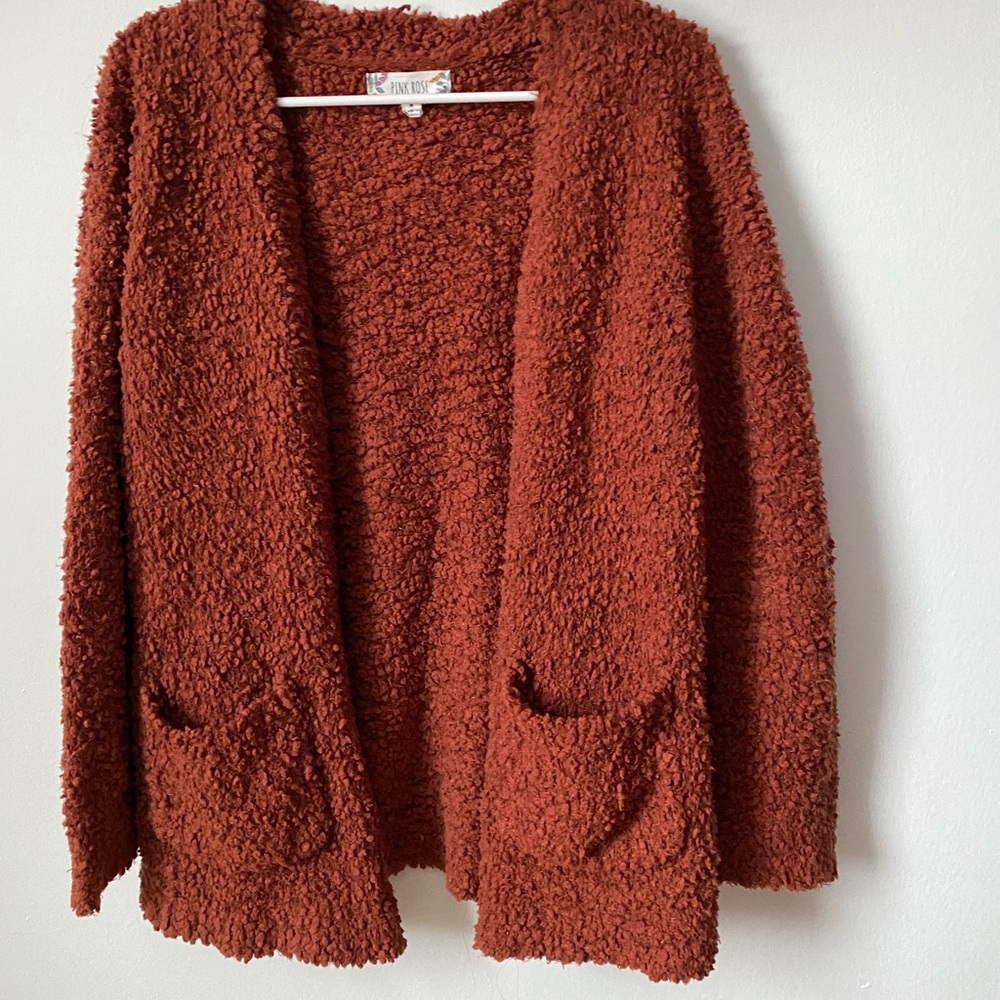 ✨CLOSET CLEAROUT✨ Rust cardigan